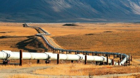 Азербайджан увеличил экспорт нефти в Румынию