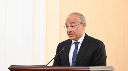 "Yanaşmamız xammalı daha çox emal etməkdir" - Mikayıl Cabbarov