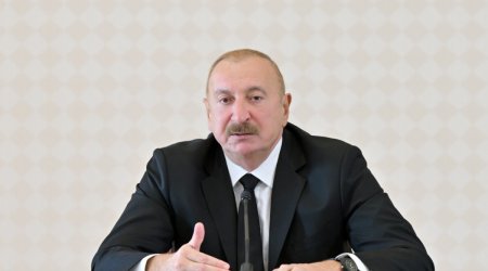 

Prezident: Ermənistan işğal dövründə Kəlbəcər, Laçın və Zəngilanda 60 min hektar meşə fondunu məhv edib

