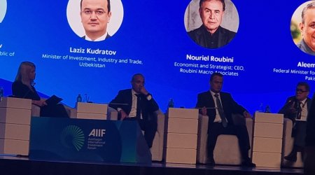 Azərbaycan kritik mineralların emalı üzrə regional inteqrasiya üzərində işləyir