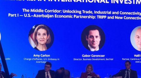 ABŞ Cənubi Qafqaza diqqəti uzunmüddətli siyasətə çevirir &ndash; diplomat