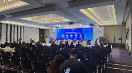 Taleh Ziyadov: Orta Dəhlizdə sərhəd prosedurları uyğunlaşdırılmalıdır