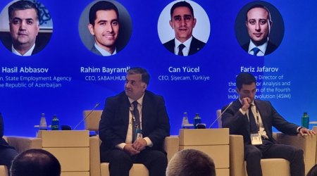 Əmək bazarına hazırlıq indeksi ilin sonunadək 10 universitetdə tətbiq olunacaq - agentlik sədri