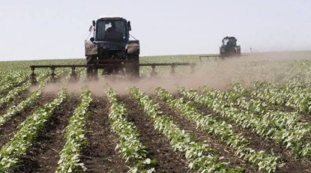 Fermerlərə 4,5 milyon manat zərər dəyib, sığorta ödənişlərinə başlanılacaq