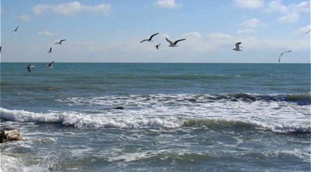 Magnitude 3.3 earthquake strikes Caspian