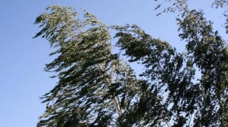 Küləkli hava şəraiti ilə bağlı sarı və narıncı xəbərdarlıq verilib