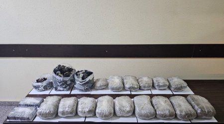 Sentyabrda 593 kiloqramdan çox narkotik dövriyyədən çıxarılıb