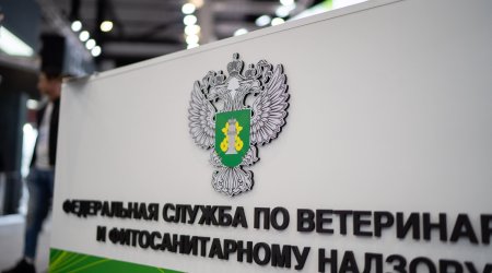 В Перми уничтожили более 230 кг продуктов из Азербайджана и Узбекистана