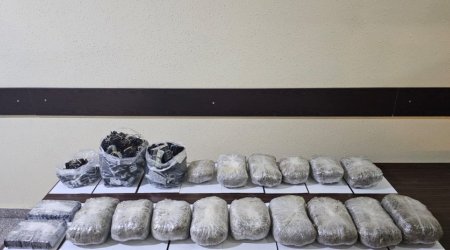 ГПС Азербайджана изъяла почти 600 кг наркотиков за сентябрь
