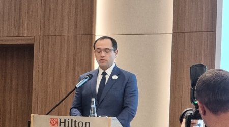 Azad edilmiş ərazilərdə 5 min hektardan çox intensiv bağ salınması üçün müraciət daxil olub &mdash; nazir