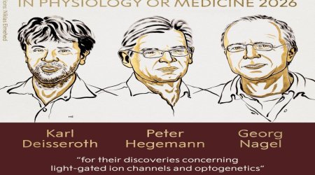 
Tibb üzrə Nobel mükafatı laureatları məlum olub