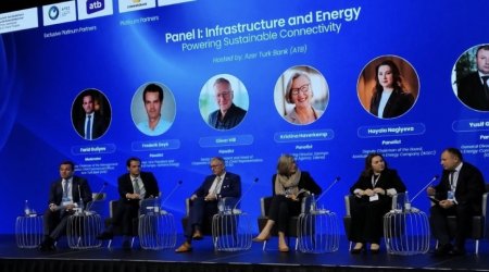 Some Azerbaijani state-owned companies could eventually launch IPOs
