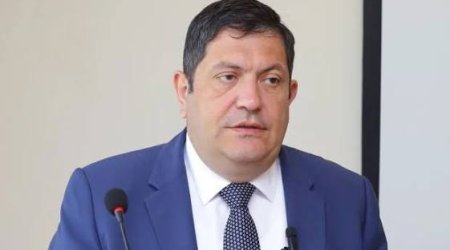 Əlibaba Məhərrəmzadə: Bitki mühafizəsi vasitələrinə standart qoyulmalıdır