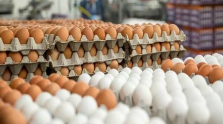 Yumurtanın qiyməti 10 ildir dəyişmir