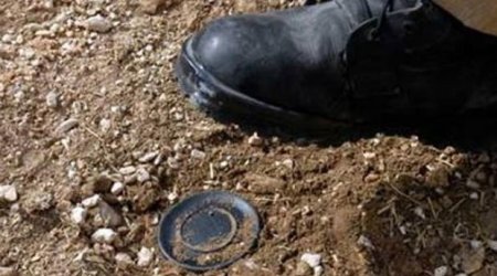Ötən həftə 1239 hektar ərazi minalardan təmizləndi