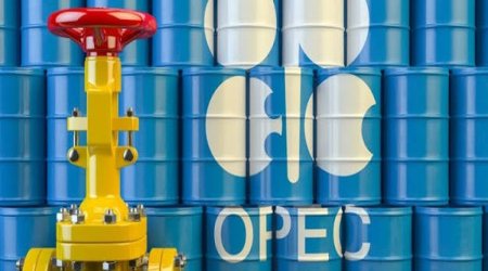 ОПЕК подтвердила ключевую роль нефти в энергобалансе