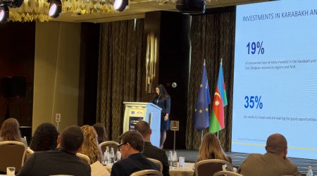 Aİ şirkətlərinin 52 %-i Azərbaycanda biznesini genişləndirməyi planlaşdırır