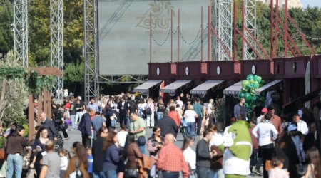 Bakıda Zeytun Festivalının rəsmi açılışı olub
