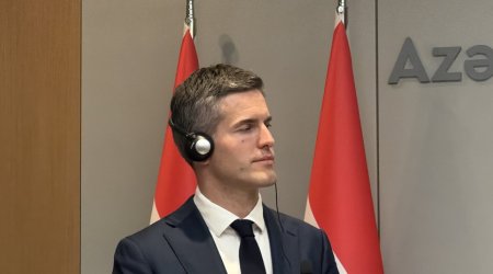 Нидерланды окажут поддержки Азербайджану в сфере разминирования