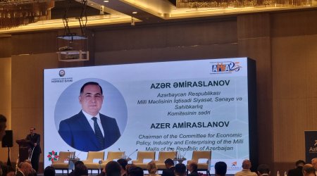 Mikromaliyyənin kredit bazarındakı payı 6 faizdir - komitə sədri