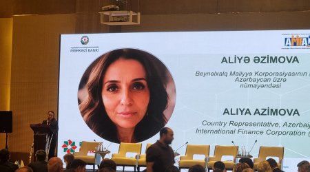IFC-nin maliyyə qurumları 2025-ci ildə mikro müəssisələrə 75,8 milyard dollarlıq kredit verib
