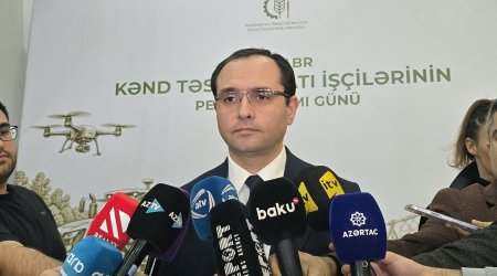 Məcnun Məmmədov: Azad edilmiş ərazilərdə 230 hektar istixana sahəsi yaradılacaq