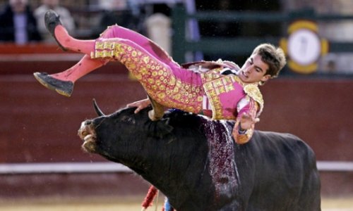 Забег быков в Испании закончился массой пострадавших - ВИДЕО