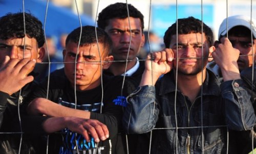 Из 600 мигрантов, задержанных на рынке «Садовод», 15 азербайджанцы