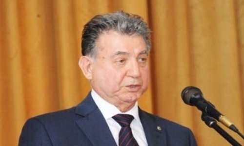 Акиф Ализаде: «В НАНА есть серьезные кадровые проблемы»