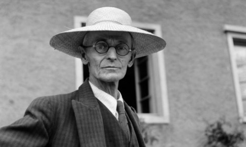 Herman Hesse: Meşə adamı - E-kitab