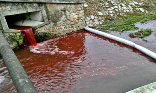 Кровавая река в Словакии -ФОТО