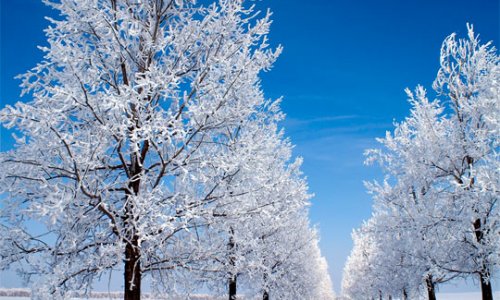 Самые красивые "снежные" фотографии -ФОТО
