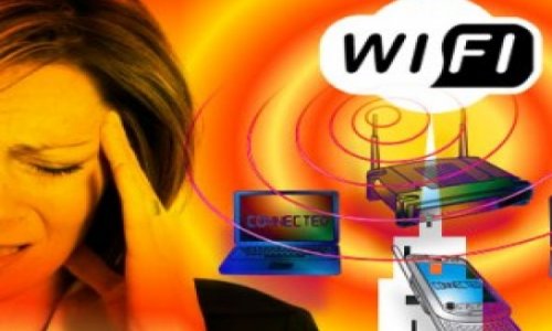 Wi-Fi вызывает головную боль и убивает растения