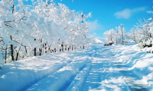 Сегодня в Азербайджане наступает зима