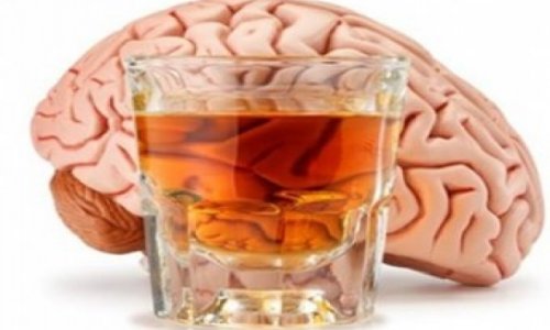 От алкоголя мозг стареет быстрее