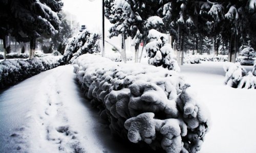 Снегопад в Сумгайыте - ФОТО