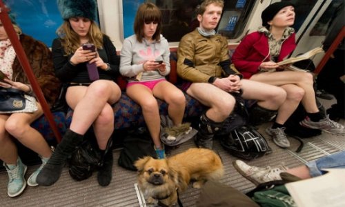 Молодежь проведет в метро акцию  «без штанов»