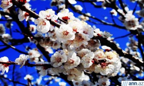 Весна – время пробуждения природы - ФОТО
