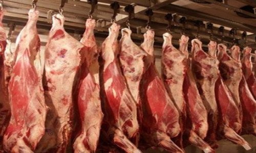 Азербайджан импортирует говядину только из России