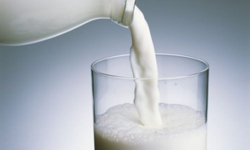 В Азербайджане 1 литр молока продается за 100 манат