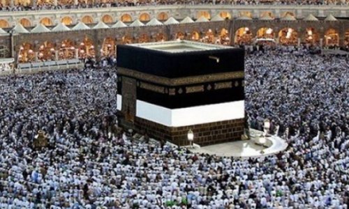 Мусульманские богословы предлагают отложить хадж