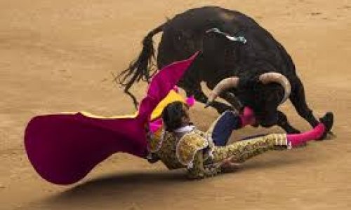Madrid matadors gored by bulls at festival launch - PHOTO+VIDEO