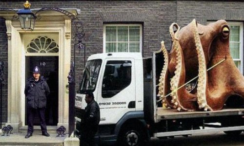 Huge octopus causes travel chaos in central London - PHOTO