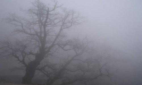 Hava daha çox harda çirklidir? - AÇIQLAMA