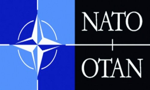 NATO PA-nın prezidenti Azərbaycana gəldi