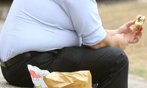 EU may define obesity as disability