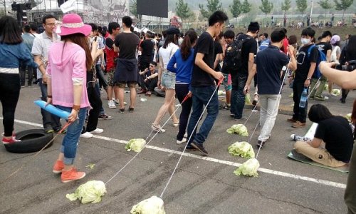 I'm just taking the CABBAGE for a walk - PHOTO