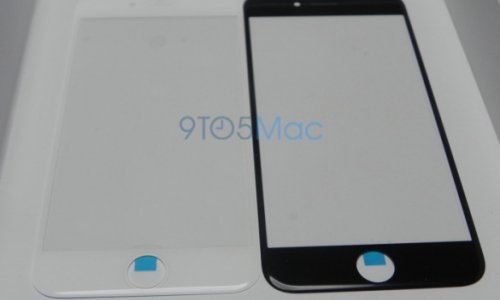 Первые фото изогнутого дисплея iPhone 6 - ФОТО