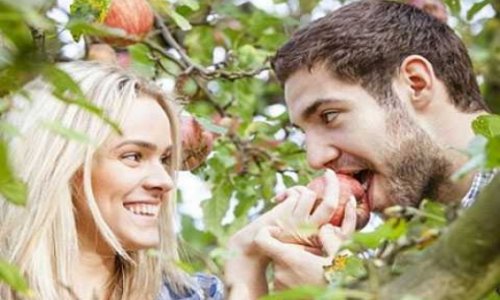 Яблоки помогут женщинам улучшить сексуальную жизнь