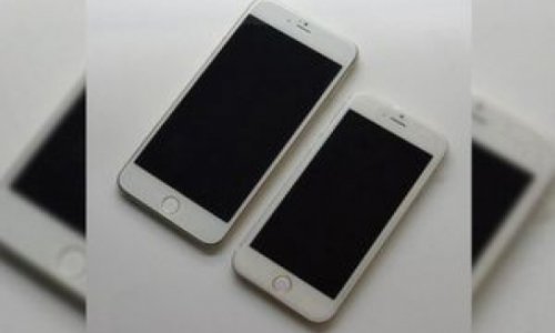 Qızıl və platin “iPhone” smartfonlarını sifariş etmək mümkündür